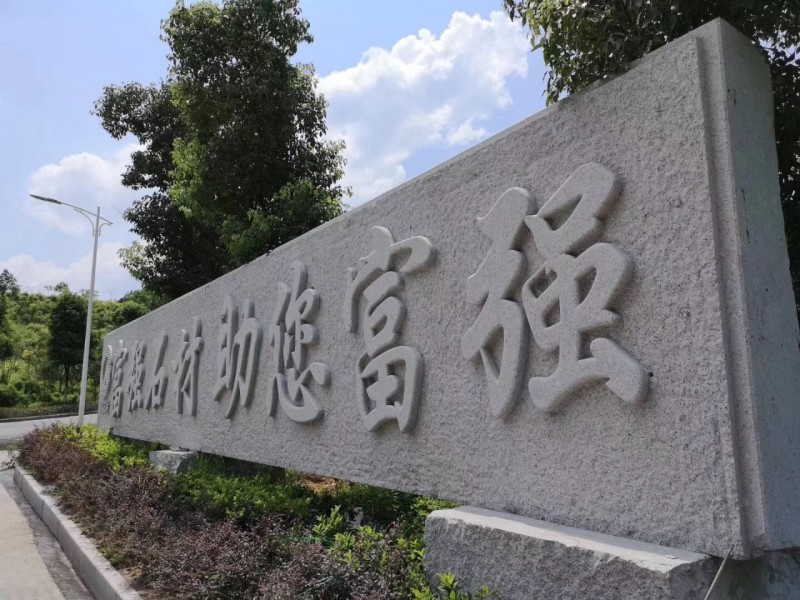 湖北麻城市委常委、統(tǒng)戰(zhàn)部部長(zhǎng)戴昌遠(yuǎn)一行考察交流富強(qiáng)石材綠色礦山經(jīng)驗(yàn)