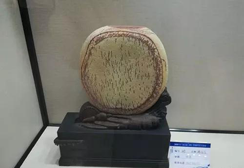 安徽首屆奇石文化交流博覽會開幕，熱乎乎的金獎都在這里了！