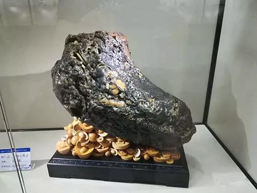 安徽首屆奇石文化交流博覽會開幕，熱乎乎的金獎都在這里了！