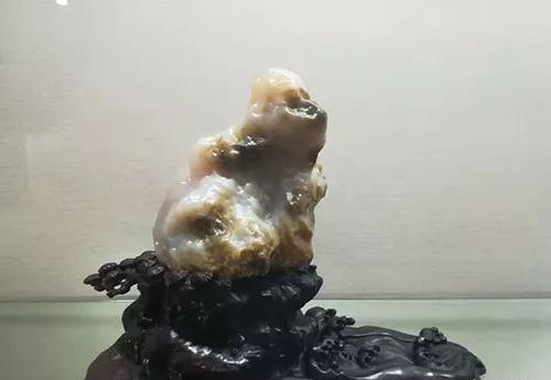 安徽首屆奇石文化交流博覽會開幕，熱乎乎的金獎都在這里了！
