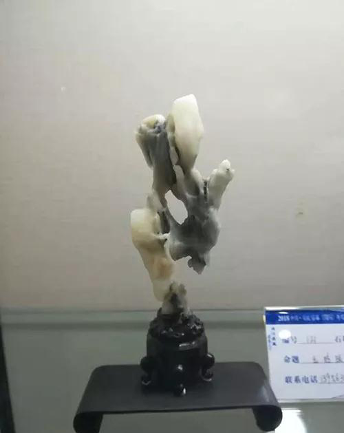 安徽首屆奇石文化交流博覽會開幕，熱乎乎的金獎都在這里了！