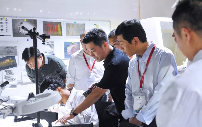 麻城市委副書記、市長蔡緒安蒞臨第十九屆中國（南安）水頭國際石材博覽會