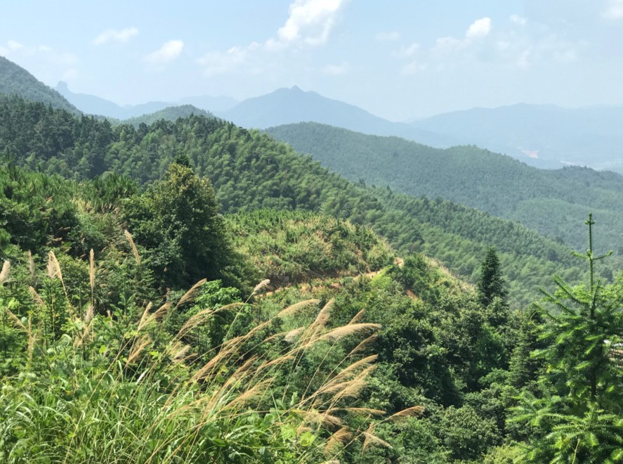 富強(qiáng)石材董事長(zhǎng)彭宜斌：“綠色礦山——可持續(xù)發(fā)展勢(shì)在必行”演講紀(jì)實(shí)