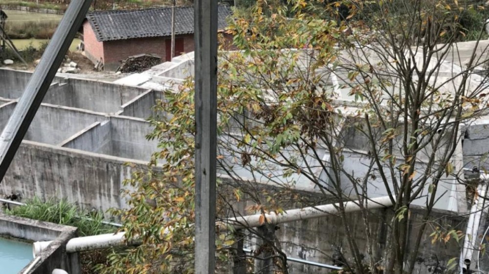 富強(qiáng)石材董事長(zhǎng)彭宜斌：“綠色礦山——可持續(xù)發(fā)展勢(shì)在必行”演講紀(jì)實(shí)