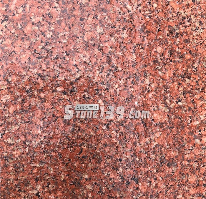 水頭市場“印度紅”遭瘋搶，搶不到也別慌，還有國產(chǎn)印度紅！