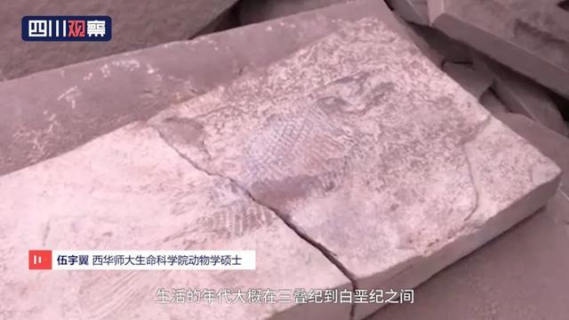 眉山首例！丹棱幸福古村發(fā)現(xiàn)疑距今約一億三千五百萬年的“魚化石”！ 