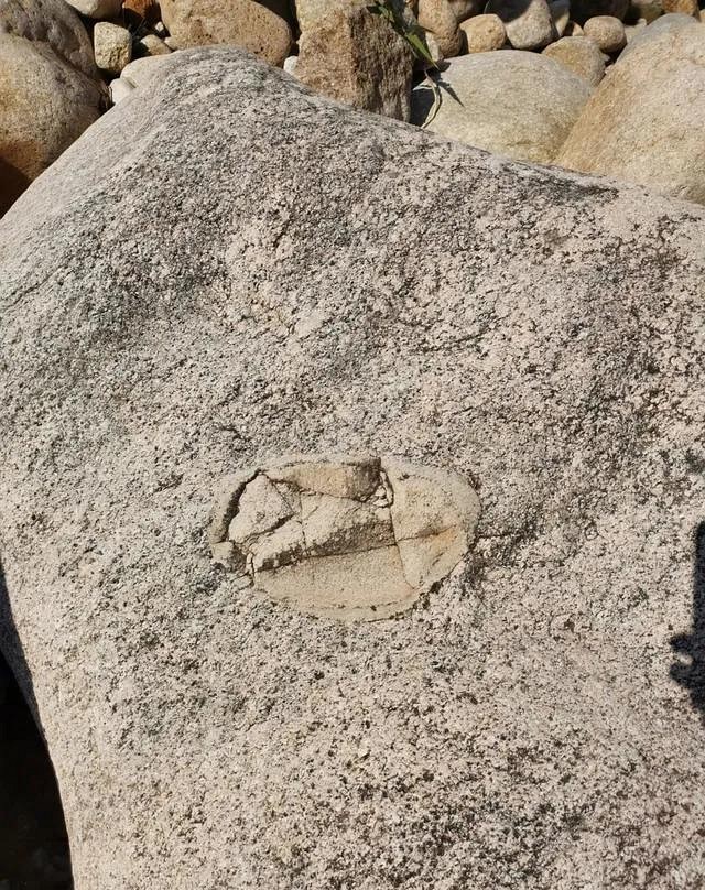 人跡罕至！浙江溫州永嘉這里有條花崗巖石河、平板溪
