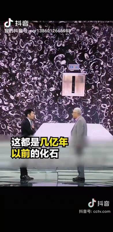貴陽機(jī)場(chǎng)廁所洗手臺(tái)化石是哪個(gè)石材（海貝花大理石）
